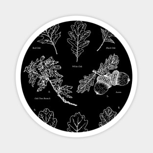 Oak Tree Elements Magnet